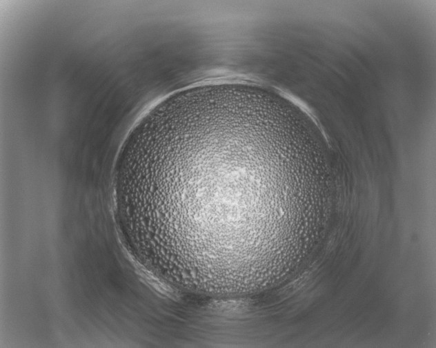 X0000060581415200511171645