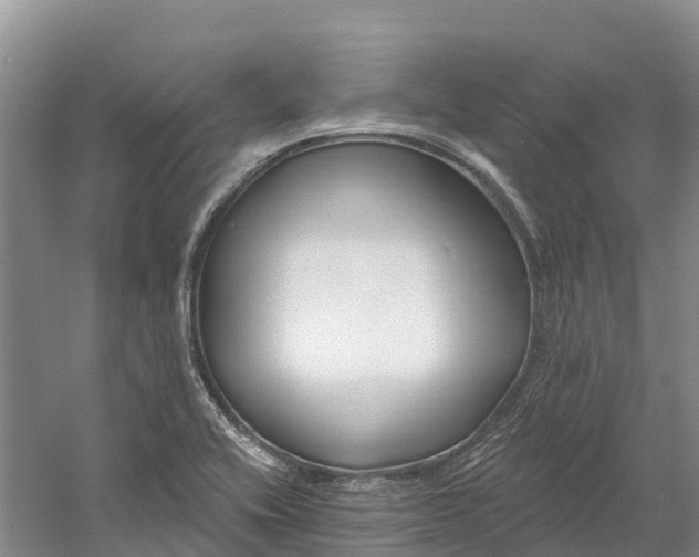 X0000060581416200511171645