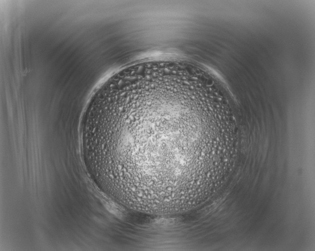 X0000060581419200511171646