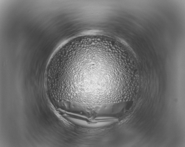 X0000060581421200511171646