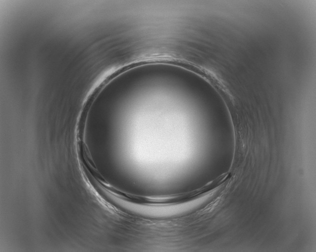 X0000060581422200511171646