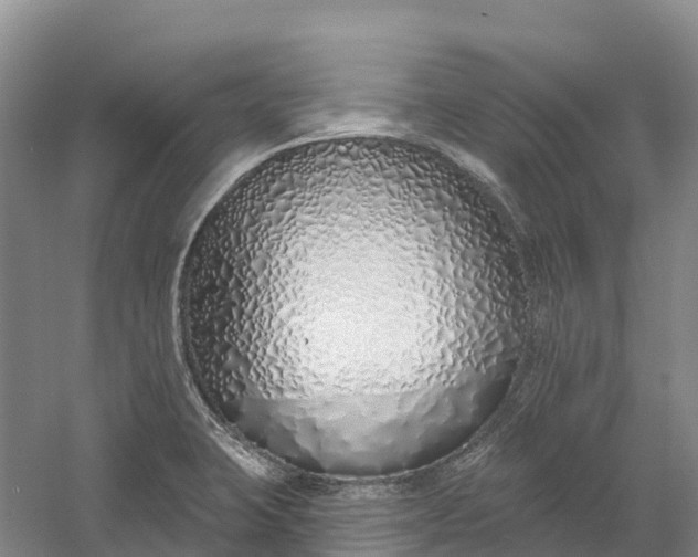 X0000060581423200511171646