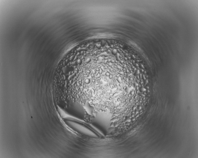 X0000060581425200511171646