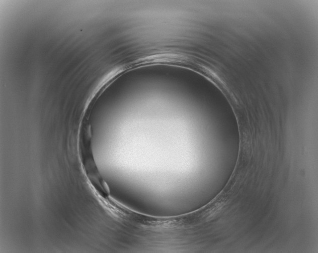 X0000060581426200511171646