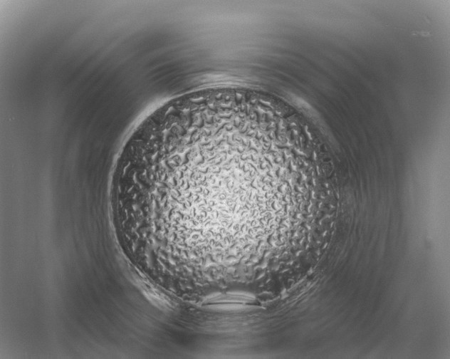 X0000060581427200511171646