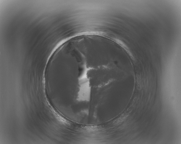 X0000060581428200511171646