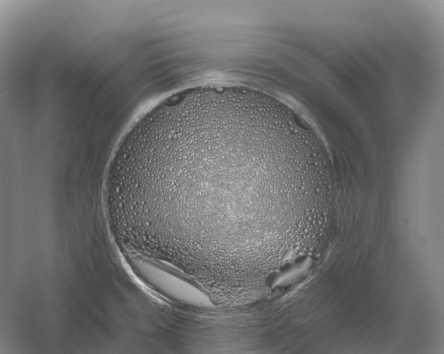 X0000060581429200511171646