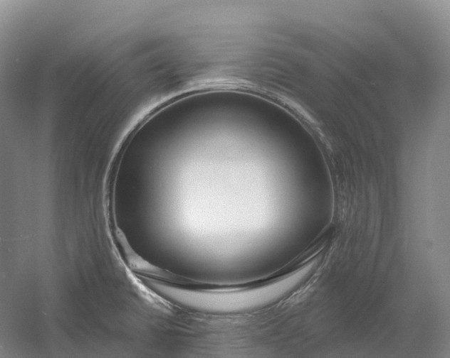 X0000060581430200511171646