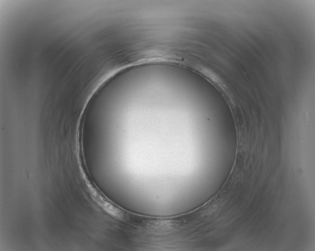 X0000060581431200511171646