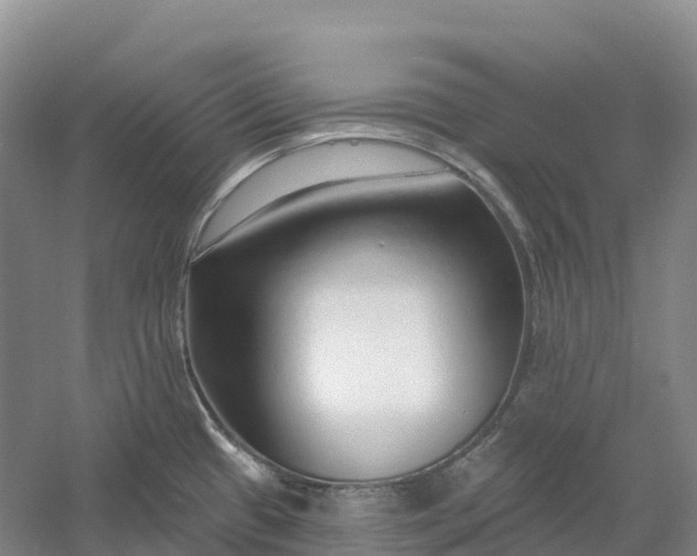 X0000060581433200511171646