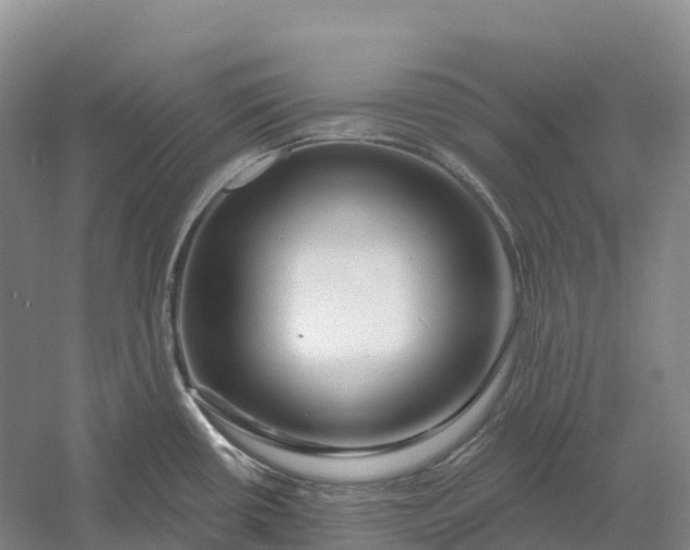 X0000060581434200511171646