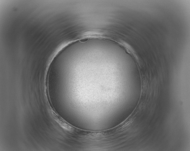 X0000060581435200511171646