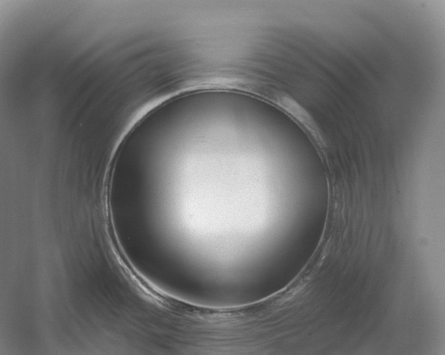 X0000060581436200511171646