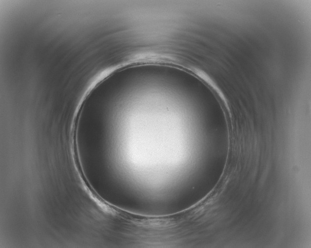 X0000060581437200511171646