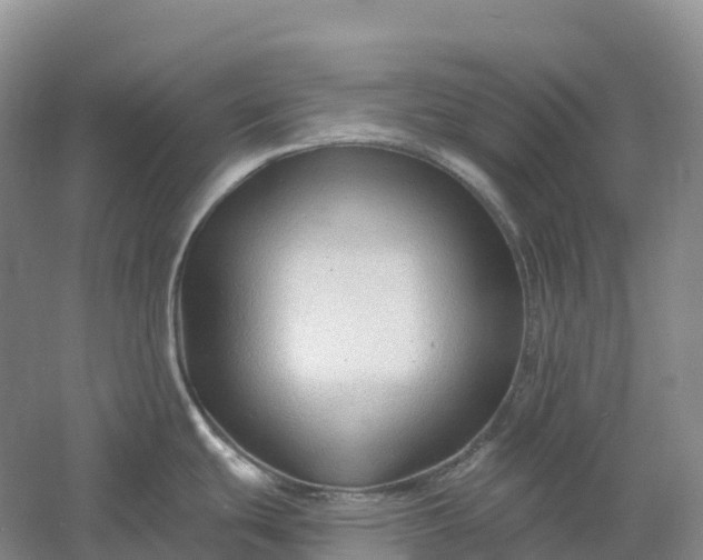 X0000060581439200511171646