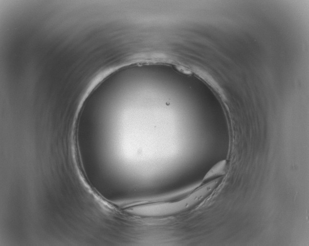 X0000060581440200511171646