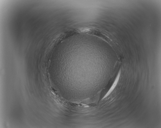 X0000060581441200511171645