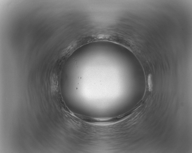 X0000060581443200511171645