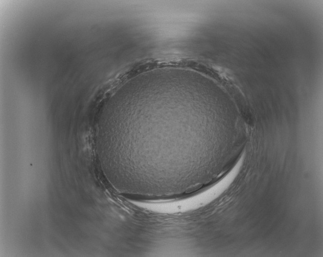 X0000060581445200511171645