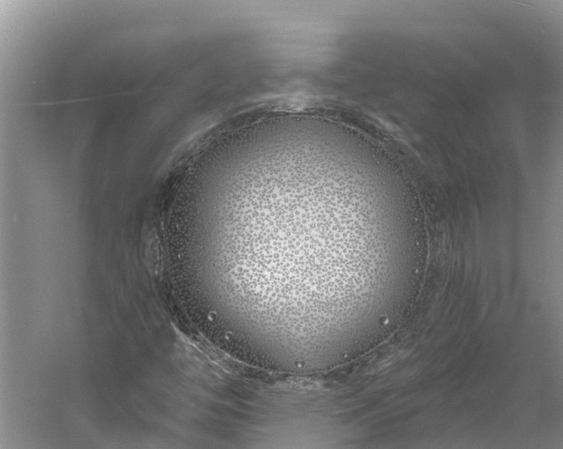 X0000060581446200511171645