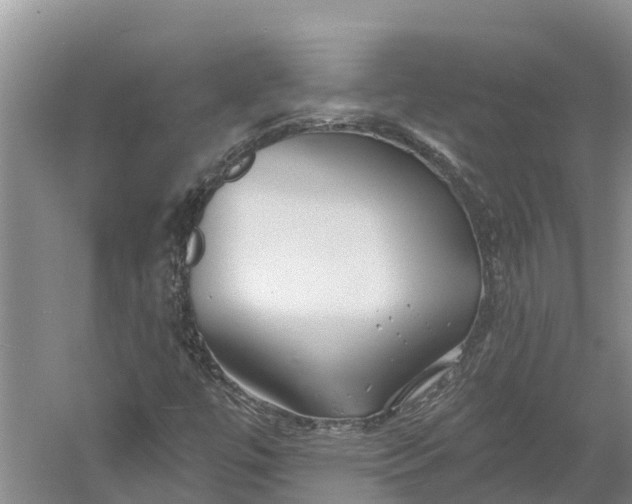 X0000060581447200511171645