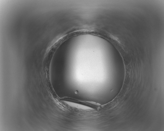 X0000060581448200511171645