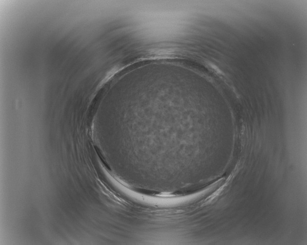 X0000060581449200511171645