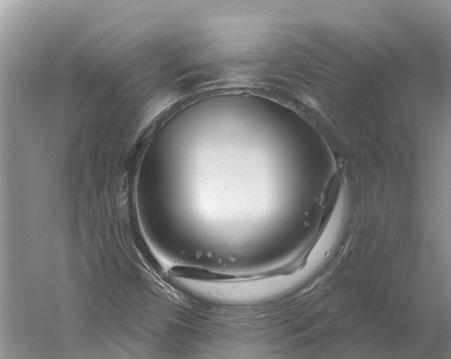 X0000060581450200511171645