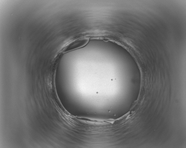 X0000060581451200511171645