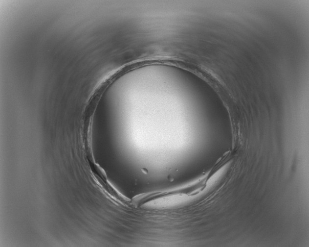 X0000060581452200511171645