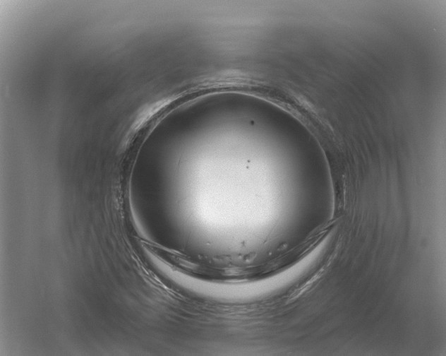 X0000060581453200511171645