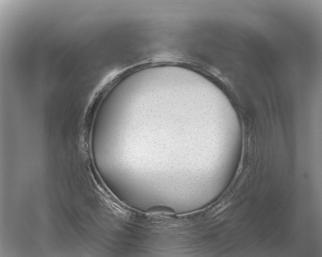 X0000060581454200511171645