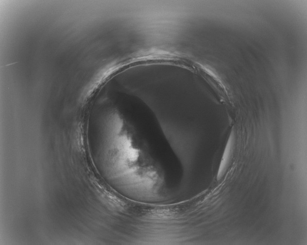 X0000060581455200511171645