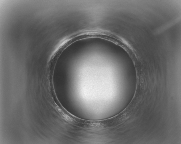 X0000060581456200511171645