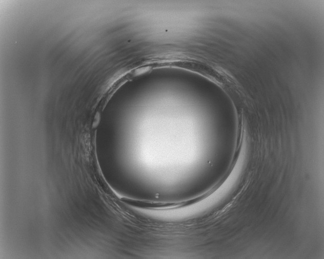 X0000060581457200511171645