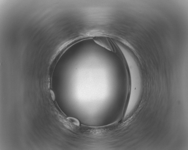 X0000060581461200511171645