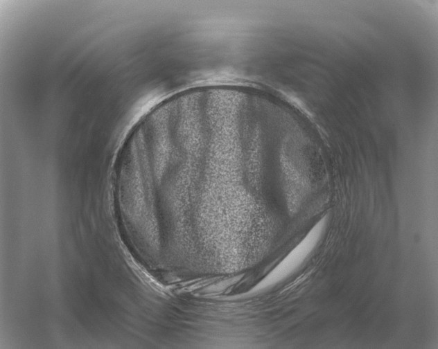 X0000060581463200511171645