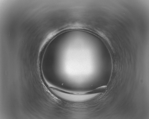 X0000060581464200511171645