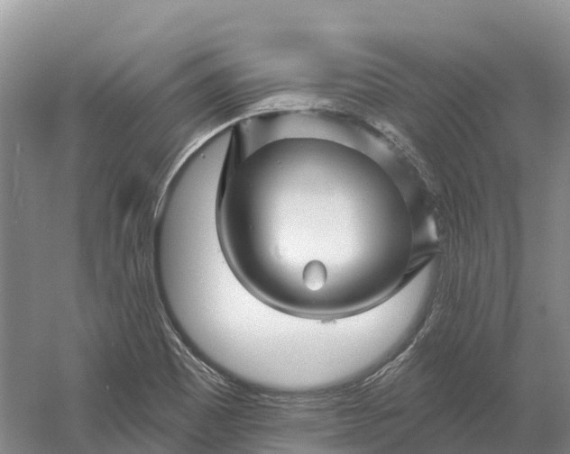 X0000060581465200511171645