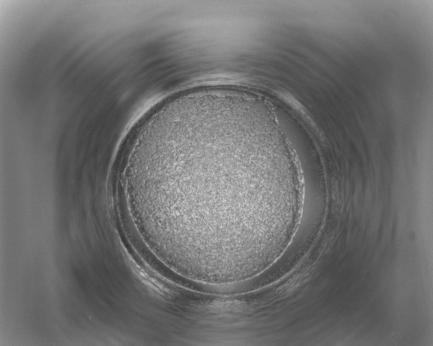 X0000060581466200511171645