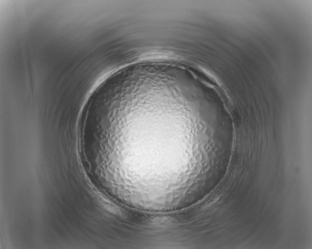 X0000060581467200511171645