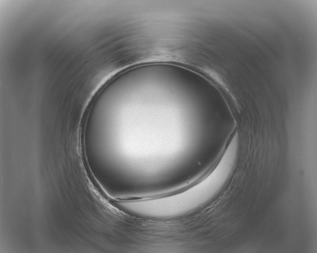 X0000060581468200511171645