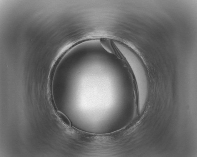 X0000060581469200511171645