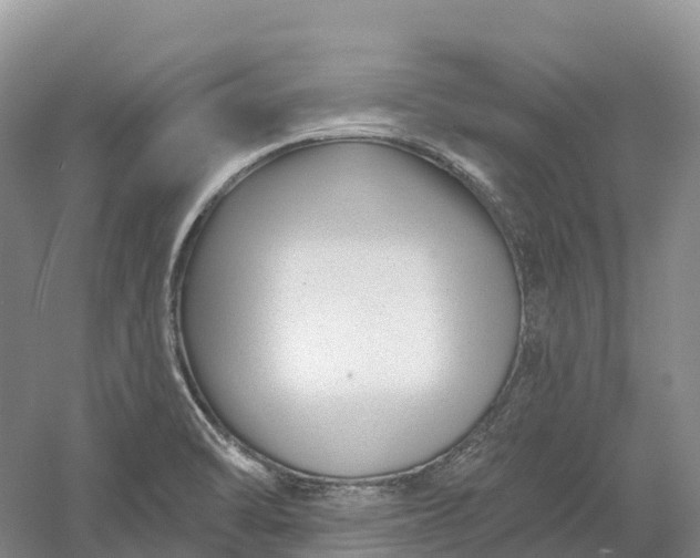 X0000060581470200511171645