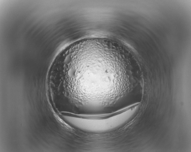 X0000060581471200511171645