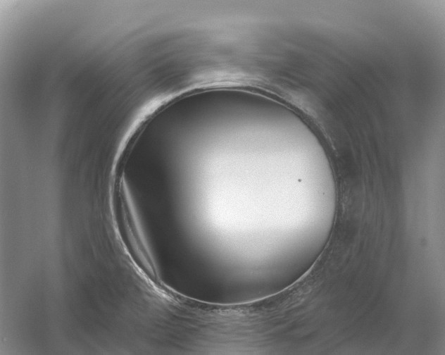 X0000060581472200511171645