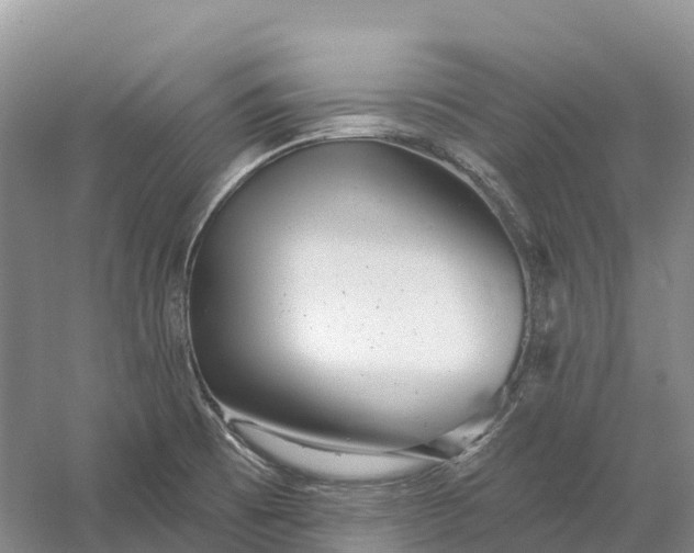 X0000060581473200511171645