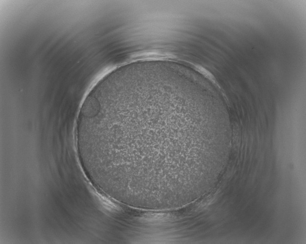 X0000060581474200511171645