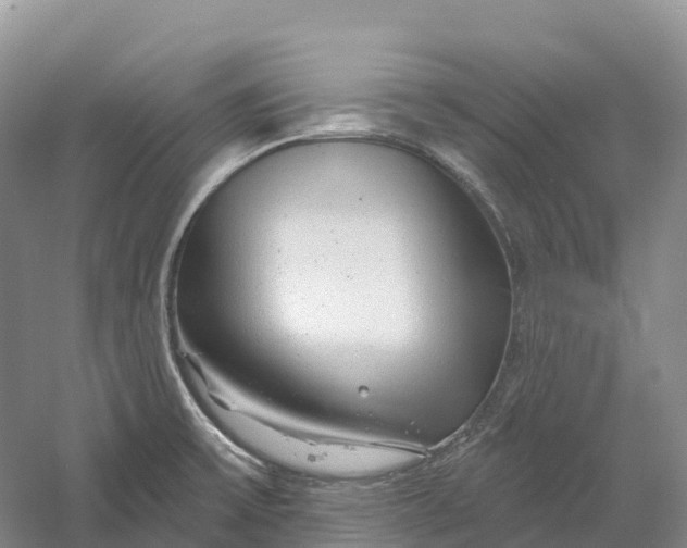 X0000060581475200511171644