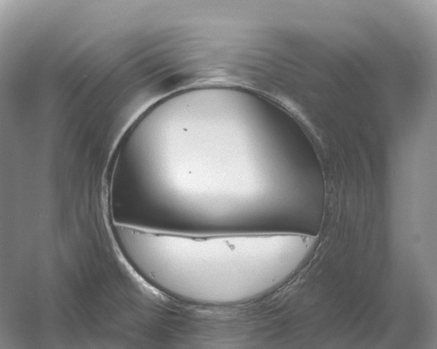 X0000060581476200511171644